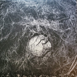 Orphx - The Way Through All Things