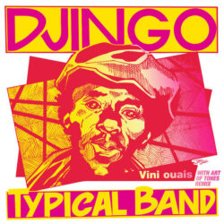 Djingo Typical Band - Vini Ouais (With Art Of Tones Remix)
